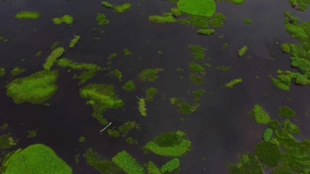 Luchtfoto loktak meer is het grootste zoetwater meer en thanga dorp in India, evenals het grootste meer in manipur noordoosten van India. - Video
