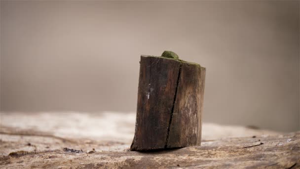 Corte de madeira em fundo simples close up, pessoa invisível irreconhecível usando machado. Registo como fontes alternativas de aquecimento - Filmagem, Vídeo