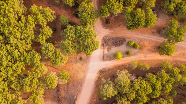 Naranja carretera en el desierto fuera de la carretera concepto lugar pintoresco. Abstract nature background drone vista vertical superior aérea. Bosque árboles verdes alrededor - Foto, imagen