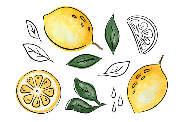 Limon dilimi ve yaprakları, vektör koleksiyonu taslağını ve desenli illüstrasyonunu ayarla. Vektör illüstrasyonu - Vektör, Görsel