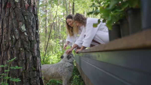 Двое друзей женщины в уютных белых халатах наслаждаются нежным моментом с пушистой собакой на деревянной палубе, окруженной пышной листвой лесного массива. Девочки гладят местную собаку, которая пришла - Кадры, видео