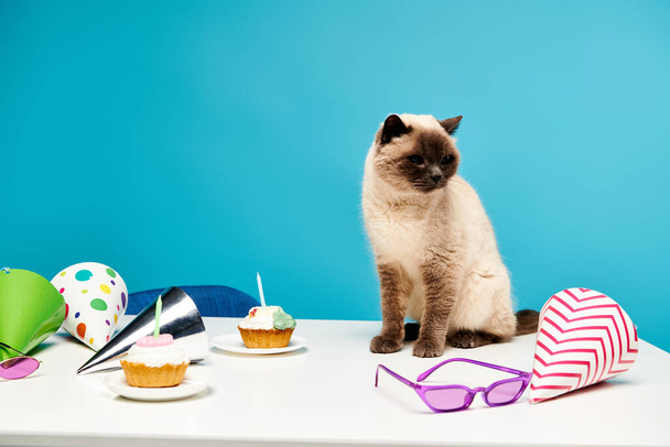 Egy macska ül elegánsan az asztal tetején, felügyeli egy adag finom cupcakes mellé helyezett. - Fotó, kép