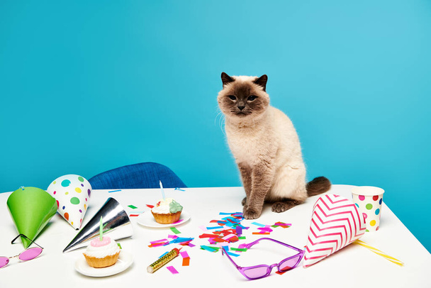 Eine süße Katze mit Schnurrhaaren sitzt zwischen Partyutensilien auf einem Tisch. - Foto, Bild
