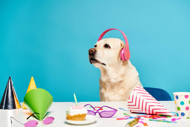 A dog wearing headphones sitting at a table. - Photo, Image