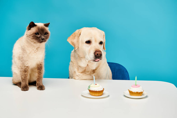 Un gato y un perro se sientan en una mesa, disfrutando felizmente de magdalenas juntos en una escena caprichosa y conmovedora. - Foto, imagen