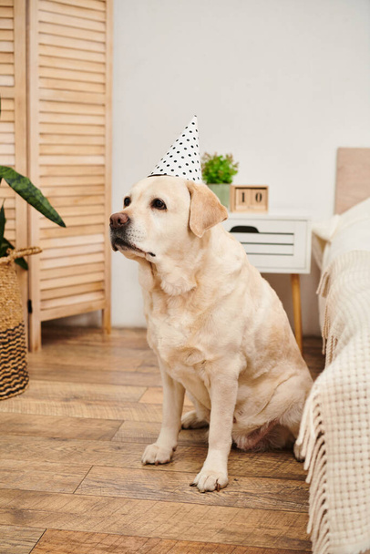 Ένα σκυλί χαλαρώνει στο πάτωμα ενώ φοράει ένα εορταστικό καπέλο, αποπνέοντας μια παιχνιδιάρικη και εορταστική ατμόσφαιρα. - Φωτογραφία, εικόνα