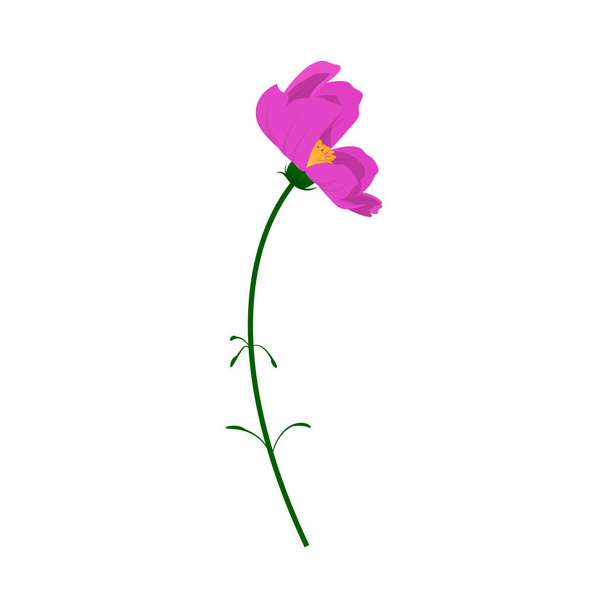 Fleur de prairie. Belle fleur pour faire des conceptions de prairie d'été et de printemps. Illustration vectorielle. - Vecteur, image