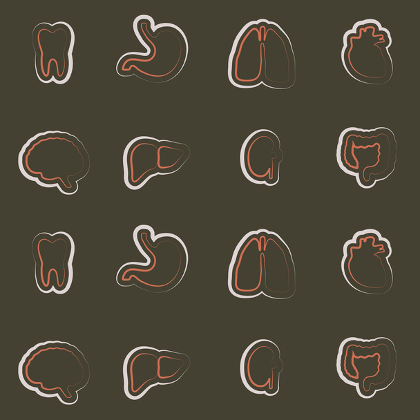 Seamless background with organs of the human body - Vector, Image