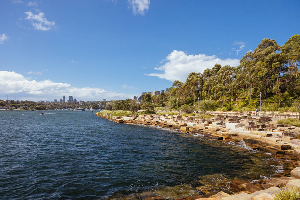 SYDNEY, AUTRICHE - 03 DÉCEMBRE 2023 : La réserve de Barangaroo de Sydney près de The Rocks à Sydney, Nouvelle-Galles du Sud, Australie. - Photo, image