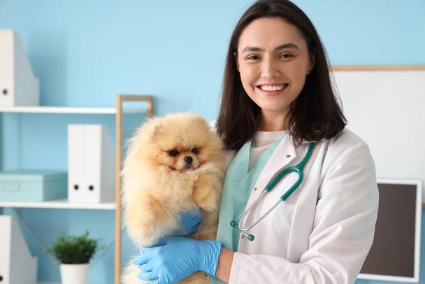 Veterinaria femenina con lindo perro Pomeranian en la clínica - Foto, imagen
