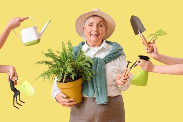 Jardinero senior con planta y herramientas sobre fondo amarillo - Foto, imagen