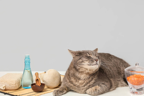 Симпатичная серая кошка и различные спа-принадлежности на столе у серой стены - Фото, изображение