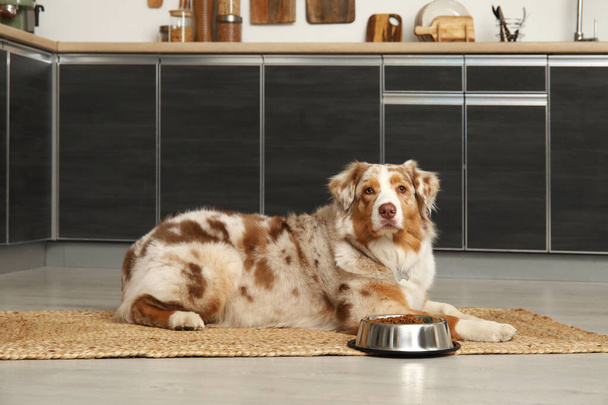 Mignon chien de berger australien couché avec bol de nourriture sèche dans la cuisine - Photo, image