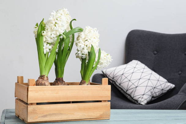 Beautiful white hyacinth flowers in wooden box on table in room - Photo, Image