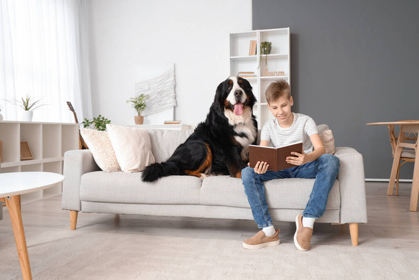 Kleiner Junge mit Berner Sennenhund liest Buch zu Hause auf dem Sofa - Foto, Bild