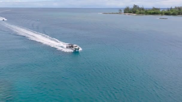 Kleine speedboot die Haleiwa haven binnenvaart door de schilderachtige blauwe Stille Oceaan. Duiken met haaien tour attractie op North Shore van Oahu eiland 4K. Watersport op Hawaï op zonnige zomerdag - Video