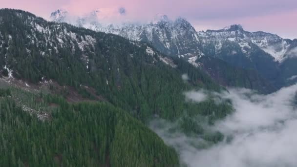 Kuzey Cascades 'teki sisli dağ vadisi pembe günbatımında. Ebedi yeşil ormanı olan güzel kış dağları. Spruce Ormanı 'ndaki manzara sisi. Washington 'da bulutlar sürükleniyor Sinema sisi sürünüyor - Video, Çekim