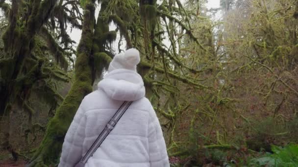 Circondato da un bianco cappotto invernale e cappello, una figura solitaria vaga attraverso gli incantevoli boschi ricoperti di muschio, un regno di serena bellezza. Filmato 4K.  - Filmati, video