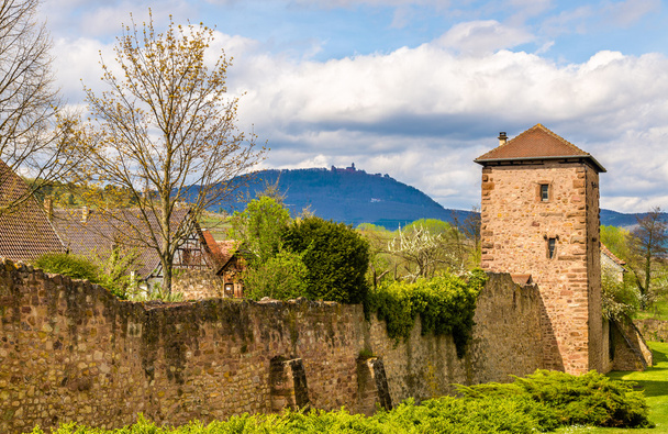 Średniowieczne mury miejskie Bergheim - Haut-Rhin, Francja - Zdjęcie, obraz