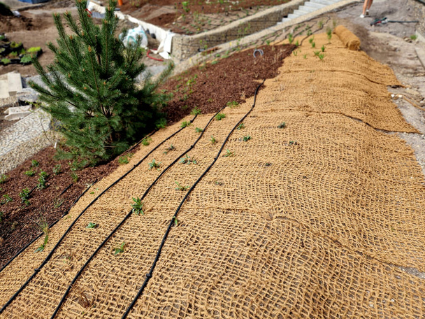 腐食に対して大きい斜面を保障するために織物が付いている芝生の播種の一時的なカバー. 急な斜面のためのココナッツの網を安定させる茶色のジュートの生地を使用して. 大雨の中,土壌は網から漏れない - 写真・画像
