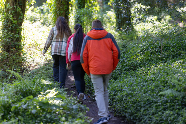Een groep vrienden, lopend in een lijn, maken hun weg naar beneden een onverharde weg omringd door hoge bomen en groen gebladerte in een bosrijke omgeving. - Foto, afbeelding