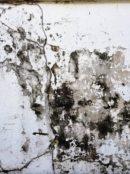 Kirli bir duvarın fotoğrafı. Beyaz boya ve siyah küf.. - Fotoğraf, Görsel