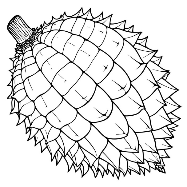 Schone schets illustratie van een durian, perfect voor voedselgerelateerde logo 's. - Vector, afbeelding