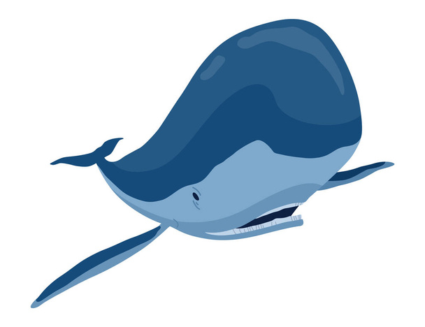 Nyomozó bálna, vízi emlős. Király tengeri állat. Rajzfilm vektor grafika. Izolált rajz illusztráció fehér háttér. - Vektor, kép