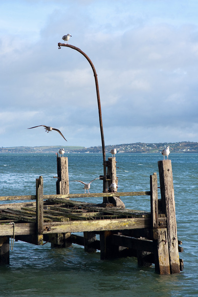 oude pier. Cobh, Ierland - Foto, afbeelding