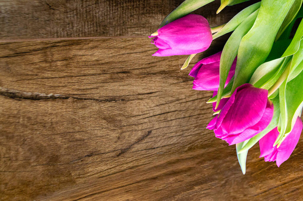 Zungenfrische Tulpen gelten normalerweise als Unschuldsblumen und sind eine äußerst angenehme Überraschung, wenn wir ihnen einfach keine Chance geben. Auf Holzgrund. Tulpen auf alten Brettern, Frühlingskonzept.  - Foto, Bild