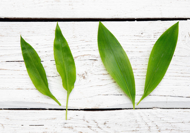 Twee zeer gelijkaardige lentebladeren. Aan de linkerkant is smakelijk eetbaar Allium ursinum bekend als wilde knoflook en aan de rechterkant is zeer giftig Convallaria majalis bekend als Lily van het dalblad. - Foto, afbeelding