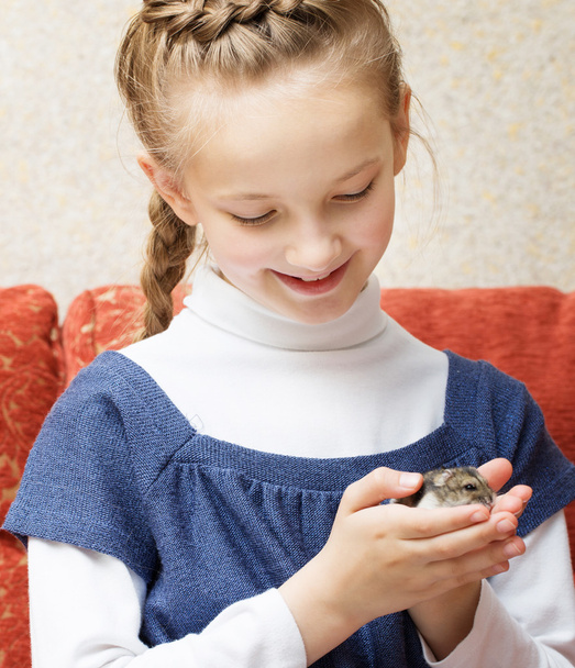 little girl with gray hamster - 写真・画像