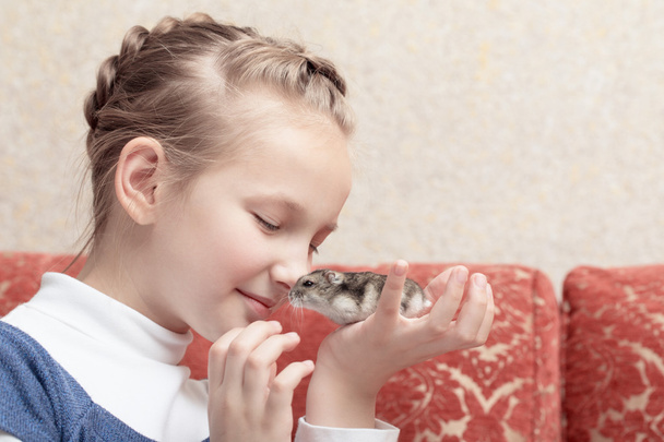 little girl with gray hamster - Fotografie, Obrázek