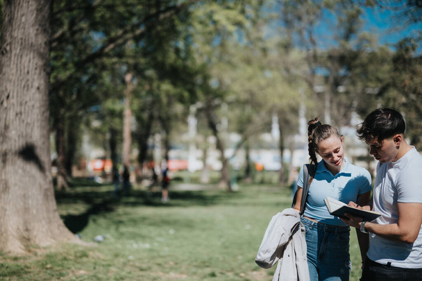 Deux jeunes étudiants s'engagent dans des études après les cours, partageant des notes dans un parc urbain animé et ensoleillé. - Photo, image
