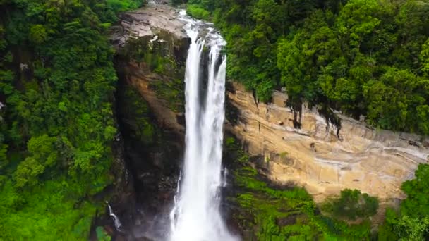 Waterfall in the jungle. Laxapana Falls in the rainforest. Sri Lanka. - Footage, Video