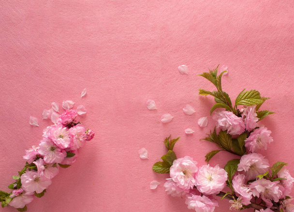 Composition créative de fleurs roses et fond rose. Fleurerscape plat laïc. - Photo, image