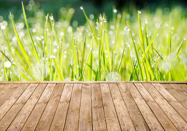 Летняя трава
 - Фото, изображение