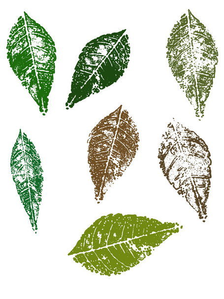 Grunge elemek - őszi levelek - Vektor, kép