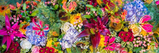 Abstract background of colorful flowers. - 写真・画像