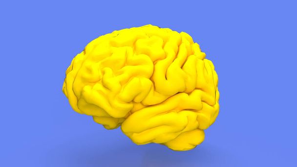 脳は,人間や他の多くの動物の中枢神経系のコマンドセンターとして機能する複雑で重要な器官です.. - 写真・画像