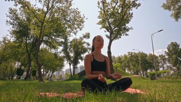 Egy nő ül a fűben, jógázik, pózol és nyújtózkodik. A légzésére koncentrál, és fenntartja az egyensúlyát, miközben különböző jóga pozíciókban vesz részt.. - Felvétel, videó