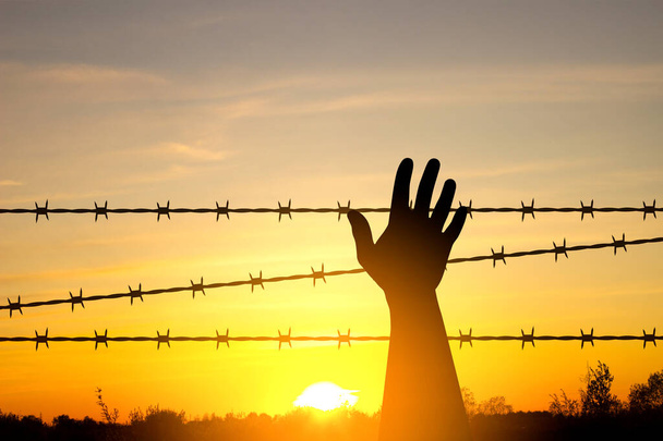 Il Giorno della Memoria dell'Olocausto. Silhouette di mano con filo di barbiere su un tramonto - Foto, immagini
