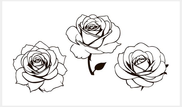 Doodle rosa icono aislado Dibujo a mano línea arte Flor bosquejo Vector stock ilustración EPS 10 - Vector, Imagen