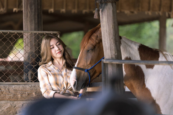 Жінка-фермер, яка годує тварин на кінній фермі. Красива дівчина піклується про жеребець. Жіночий і красивий кінь. - Фото, зображення