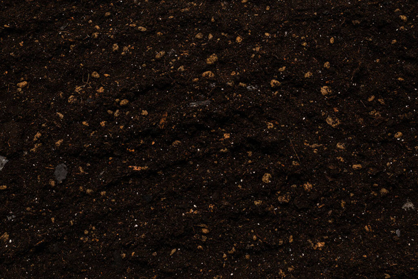 Tierra negra para fondo vegetal. Vista superior.  - Foto, Imagen