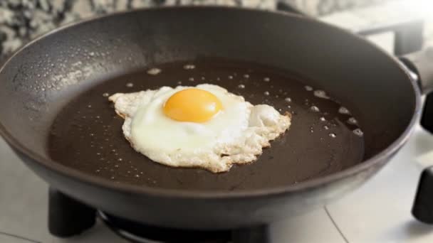 Frying egg in a skillet - Video, Çekim