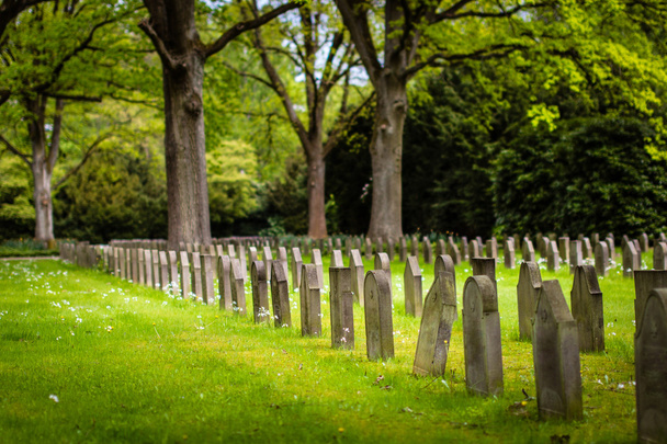 Cemetery Ohlsdorf in Hamburg - Photo, Image