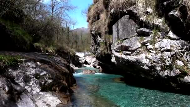 Fantastisch zomers landschap in het Vertova dal - Video