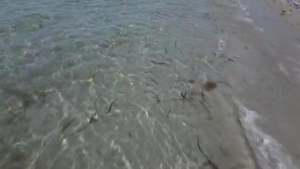 Tiro aéreo da costa da Sardenha com mar cristalino - Filmagem, Vídeo