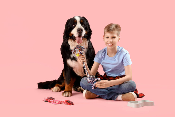 Niño con juguete y perro de montaña bernés sobre fondo rosa - Foto, Imagen